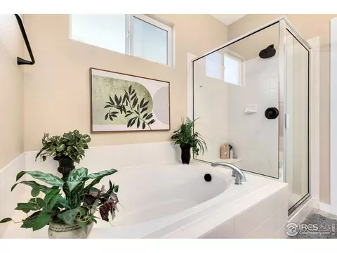 1585 Millfleet Dr, Windsor, CO 80550 photo 19