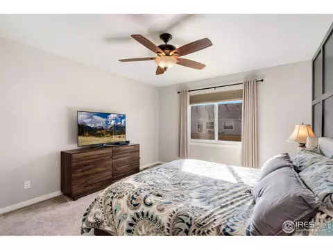 1585 Millfleet Dr, Windsor, CO 80550 photo 20