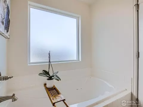 1835 Abundance Dr, Windsor, CO 80550 photo 12