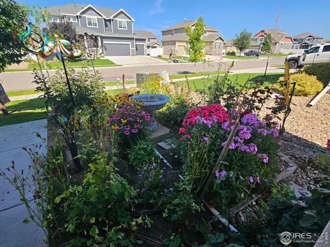 238 Mt Harvard Ave, Severance, CO 80550 photo 33