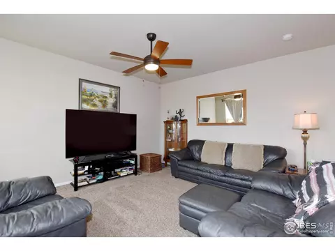 238 Mt Harvard Ave, Severance, CO 80550 photo 4