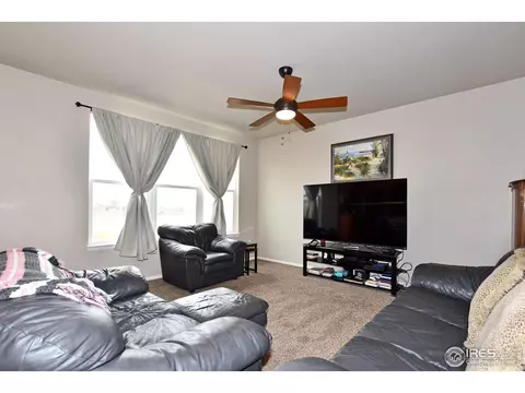 238 Mt Harvard Ave, Severance, CO 80550 photo 5