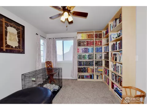 238 Mt Harvard Ave, Severance, CO 80550 photo 15