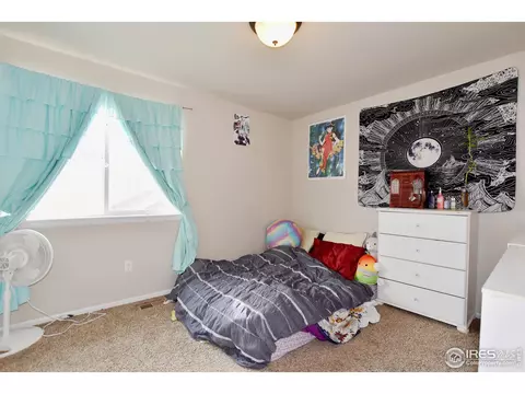 238 Mt Harvard Ave, Severance, CO 80550 photo 26
