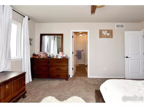 238 Mt Harvard Ave, Severance, CO 80550 photo 18