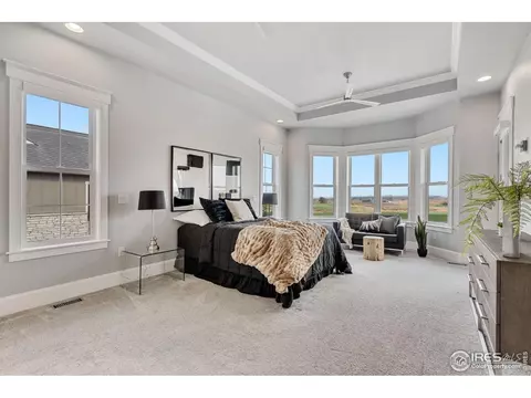 6420 Sanctuary Dr, Windsor, CO 80550 photo 22