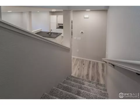 4982 Denys Dr, Timnath, CO 80547 photo 18