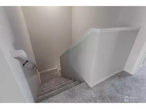 4982 Denys Dr, Timnath, CO 80547 photo 19