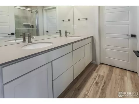 4982 Denys Dr, Timnath, CO 80547 photo 26