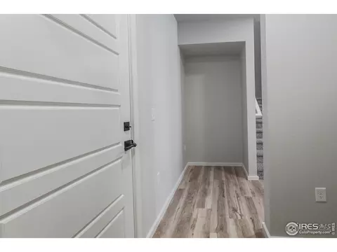 4982 Denys Dr, Timnath, CO 80547 photo 17