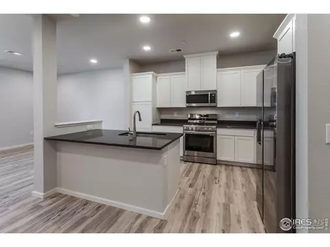 4982 Denys Dr, Timnath, CO 80547 photo 11