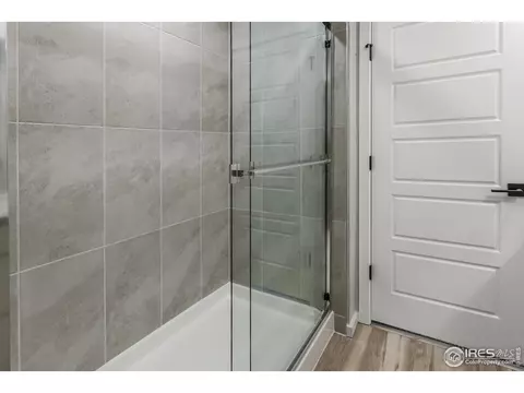4982 Denys Dr, Timnath, CO 80547 photo 27