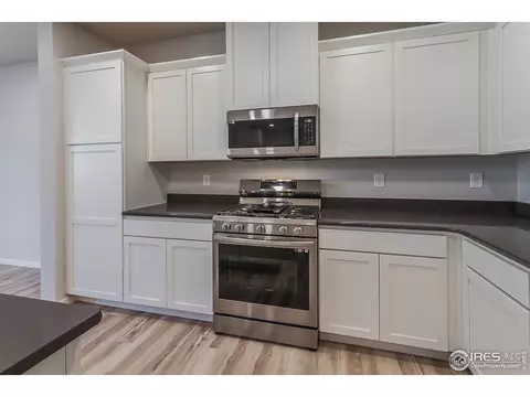 4982 Denys Dr, Timnath, CO 80547 photo 12