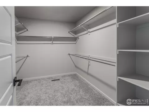 4982 Denys Dr, Timnath, CO 80547 photo 28