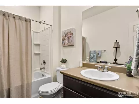 514 Buckrake St, Severance, CO 80550 photo 6