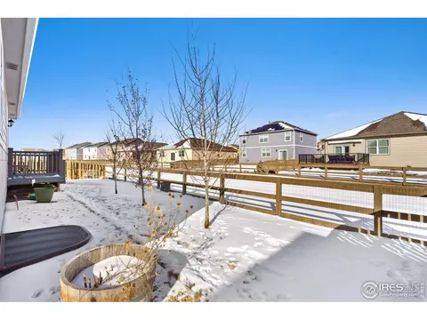 514 Buckrake St, Severance, CO 80550 photo 19