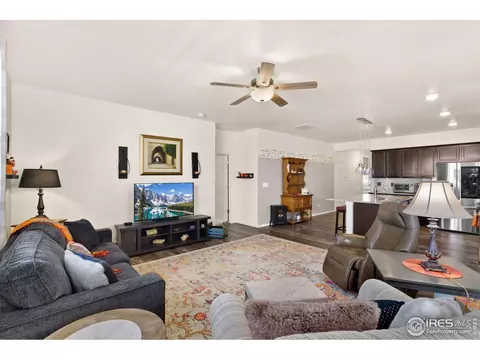 514 Buckrake St, Severance, CO 80550 photo 14