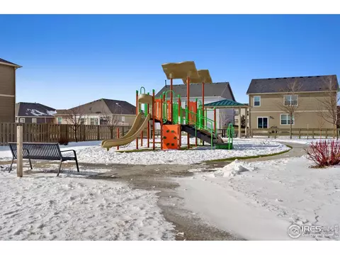 514 Buckrake St, Severance, CO 80550 photo 21
