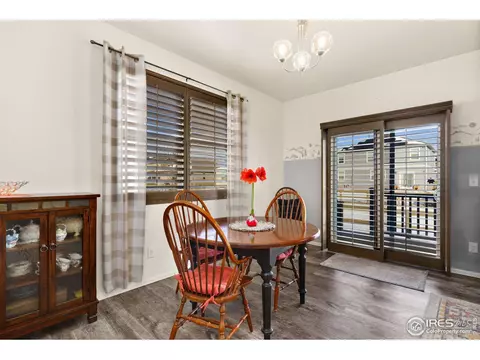 514 Buckrake St, Severance, CO 80550 photo 12