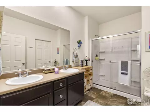 514 Buckrake St, Severance, CO 80550 photo 9