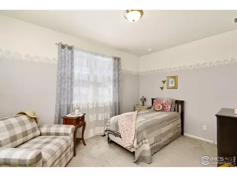 514 Buckrake St, Severance, CO 80550 photo 5