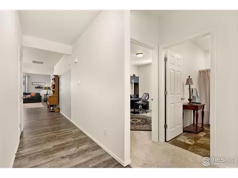 514 Buckrake St, Severance, CO 80550 photo 4