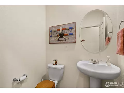 514 Buckrake St, Severance, CO 80550 photo 16