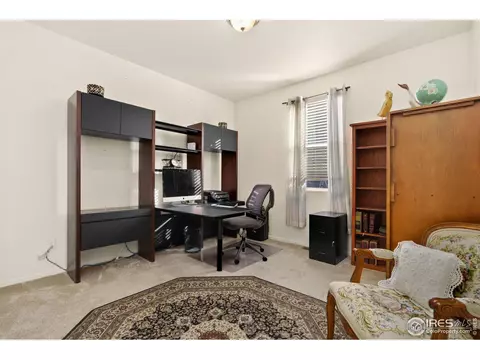 514 Buckrake St, Severance, CO 80550 photo 7