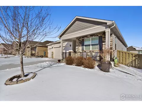 514 Buckrake St, Severance, CO 80550 photo 2