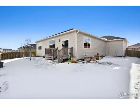 514 Buckrake St, Severance, CO 80550 photo 20