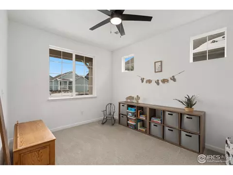 1752 Branching Canopy Dr, Windsor, CO 80550 photo 19