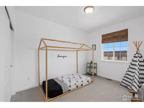 1752 Branching Canopy Dr, Windsor, CO 80550 photo 14