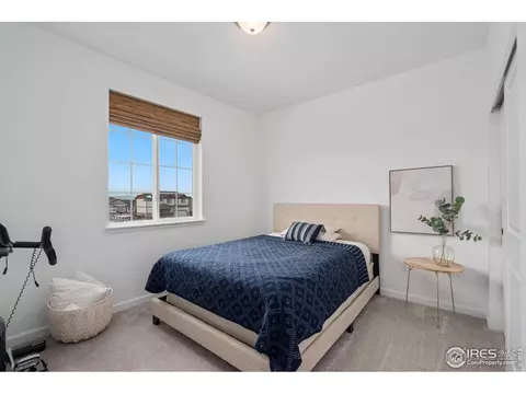 1752 Branching Canopy Dr, Windsor, CO 80550 photo 16