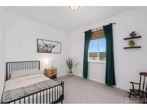 1752 Branching Canopy Dr, Windsor, CO 80550 photo 15