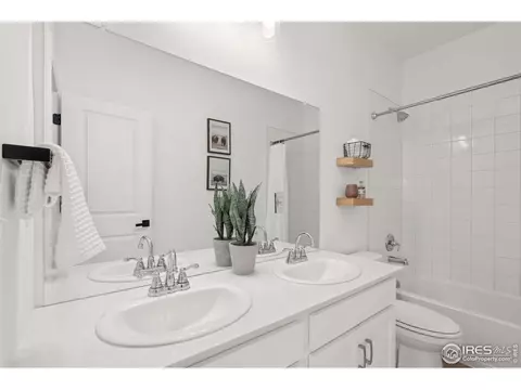 1752 Branching Canopy Dr, Windsor, CO 80550 photo 17