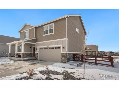 1752 Branching Canopy Dr, Windsor, CO 80550 photo 3