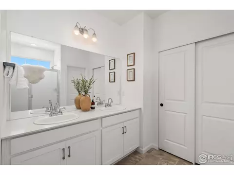 1752 Branching Canopy Dr, Windsor, CO 80550 photo 13
