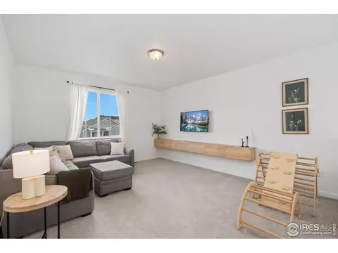 1752 Branching Canopy Dr, Windsor, CO 80550 photo 11