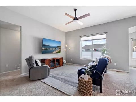 907 Barasingha St, Severance, CO 80550 photo 8