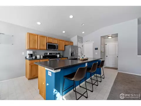 907 Barasingha St, Severance, CO 80550 photo 4