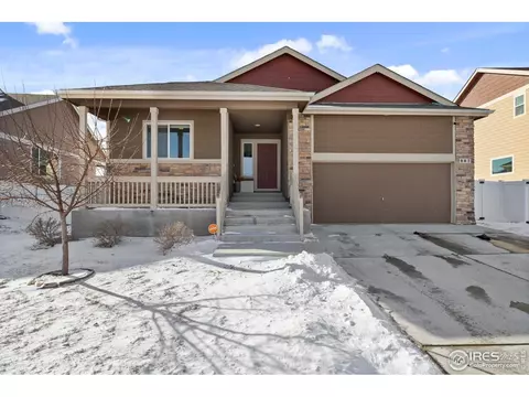 907 Barasingha St, Severance, CO 80550 photo 21