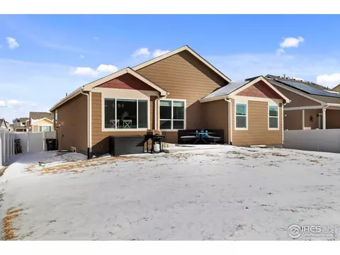 907 Barasingha St, Severance, CO 80550 photo 18