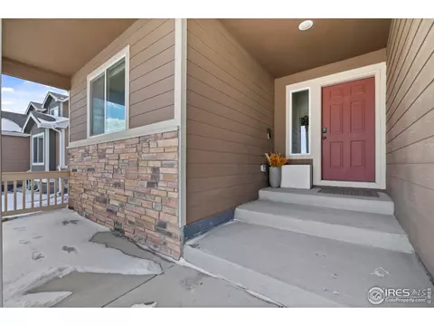 907 Barasingha St, Severance, CO 80550 photo 20