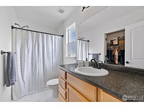 907 Barasingha St, Severance, CO 80550 photo 12