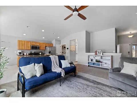 907 Barasingha St, Severance, CO 80550 photo 9