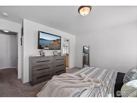 907 Barasingha St, Severance, CO 80550 photo 11