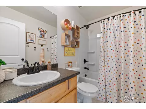 907 Barasingha St, Severance, CO 80550 photo 14