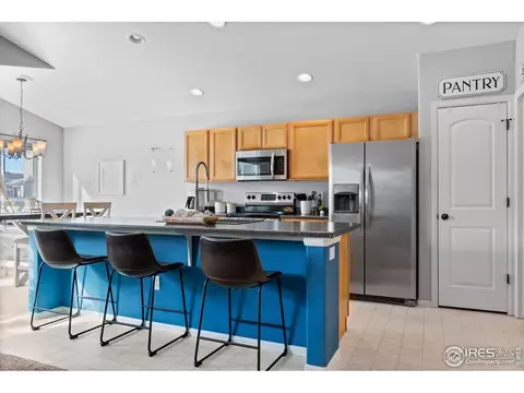 907 Barasingha St, Severance, CO 80550 photo 5