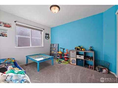 907 Barasingha St, Severance, CO 80550 photo 15