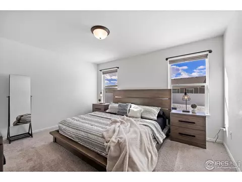 907 Barasingha St, Severance, CO 80550 photo 10